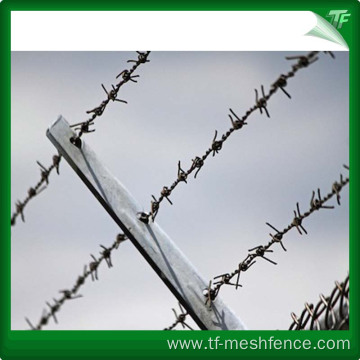 Hot dipped galvanized Straight Razor Barbed Wire